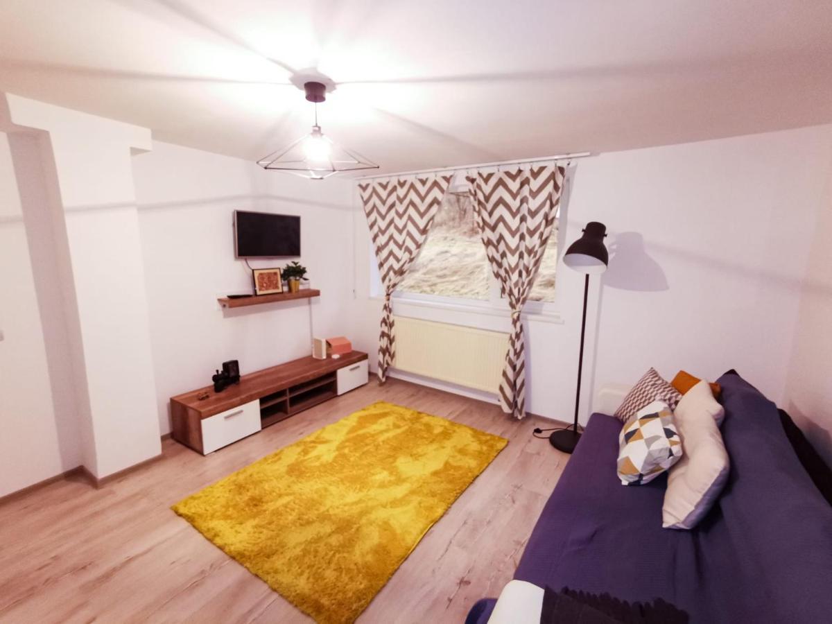 105500 Apartment Buşteni エクステリア 写真