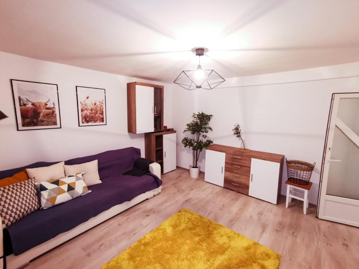 105500 Apartment Buşteni エクステリア 写真
